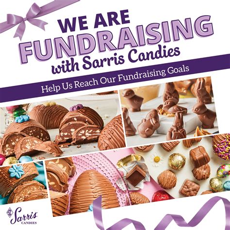 sarris fundraising website.